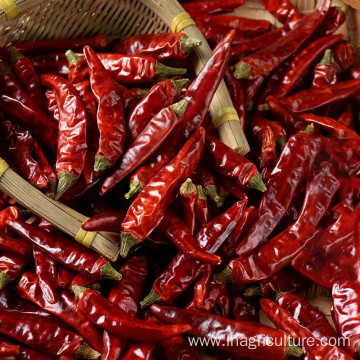 Chinese dried chili Paprika Food Color Cooking